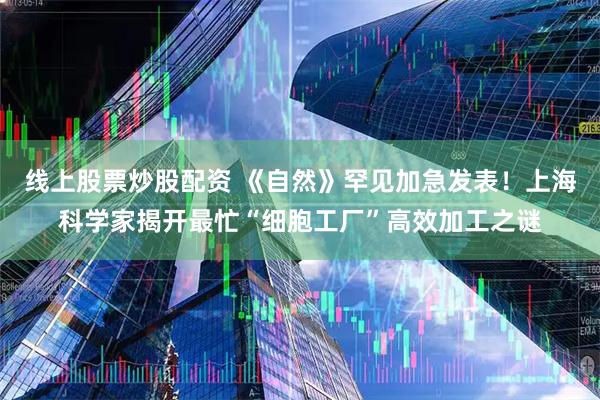 线上股票炒股配资 《自然》罕见加急发表！上海科学家揭开最忙“细胞工厂”高效加工之谜